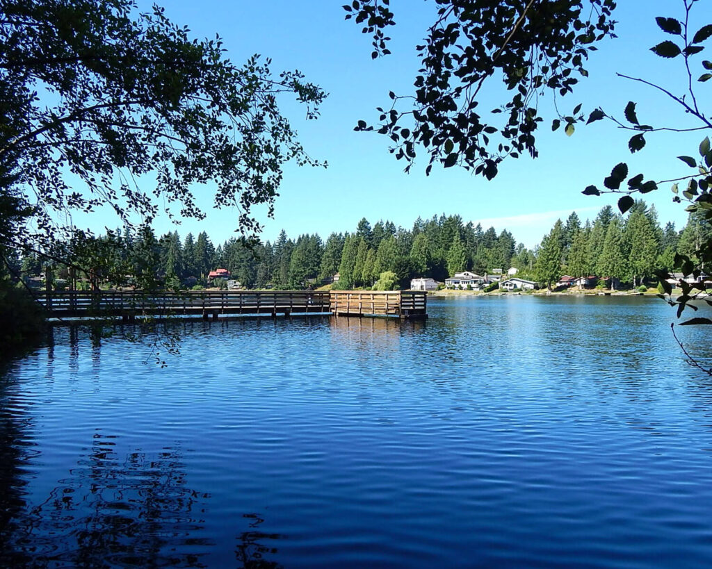 Peaceful lake view at Five Mile Lake Park in Auburn, Washington surrounded by trees and homes