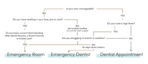 Flowchart guiding dental care: ER for trauma/bleeding, emergency dentist for infection, or dentist visit if stable
