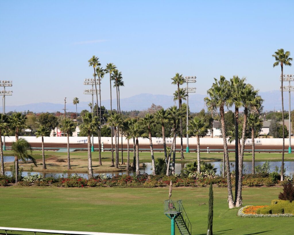 Los Alamitos Race Course track with palm trees, green field, and water feature under clear sky in California