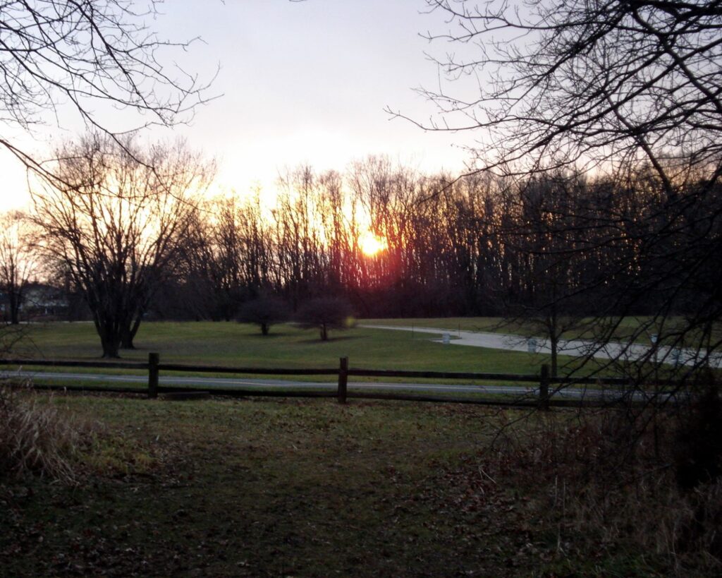 Deer Grove forest sunset landscape Illinois with trees silhouettes evening sky park trail peaceful nature scene USA