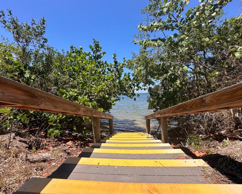 Wooden stairway with yellow steps leading through dense mangrove trees toward the water at Lemon Bay Park in Englewood, Florida