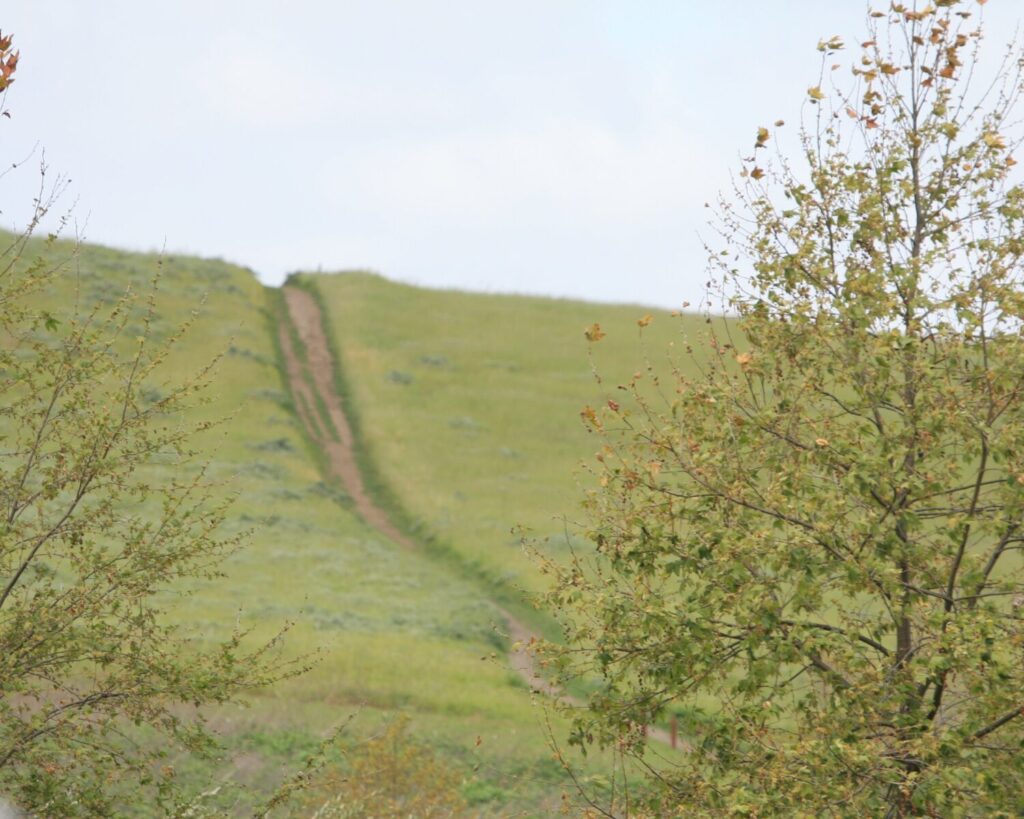 Irvine Quail Hill Trail Loop in California with grassy hills narrow dirt path and trees under cloudy sky