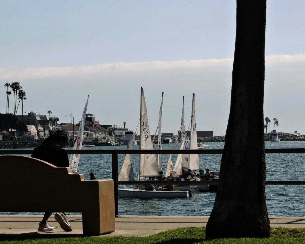 Person sitting on a bench near Long Beach California waterfront with sailboats ocean view and palm trees