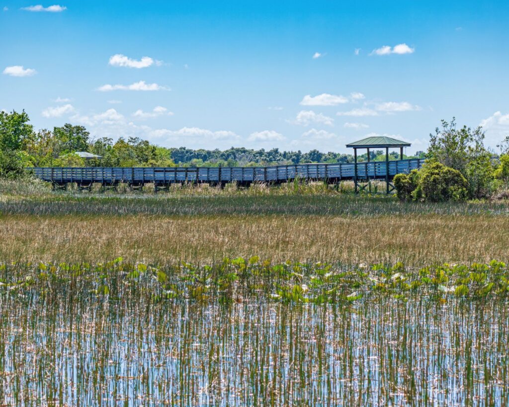 Wooden boardwalk over wetlands at Chapel Trail Nature Preserve Pembroke Pines Florida with grass water and blue sky