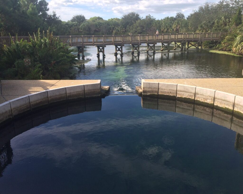 Wall Springs Park Florida natural spring clear blue water wooden bridge lush greenery peaceful nature park scenic landscape USA