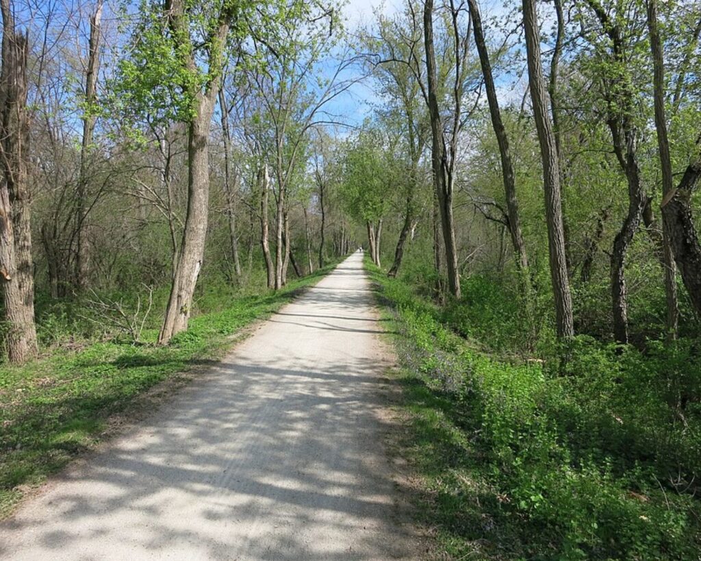Straight gravel trail running through a wooded area with tall trees and green foliage on both sides