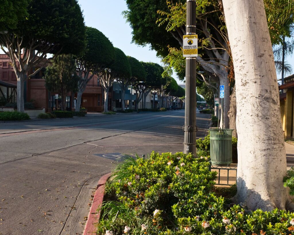 Empty street view of downtown Whittier California with tree lined sidewalks buildings and clear morning light