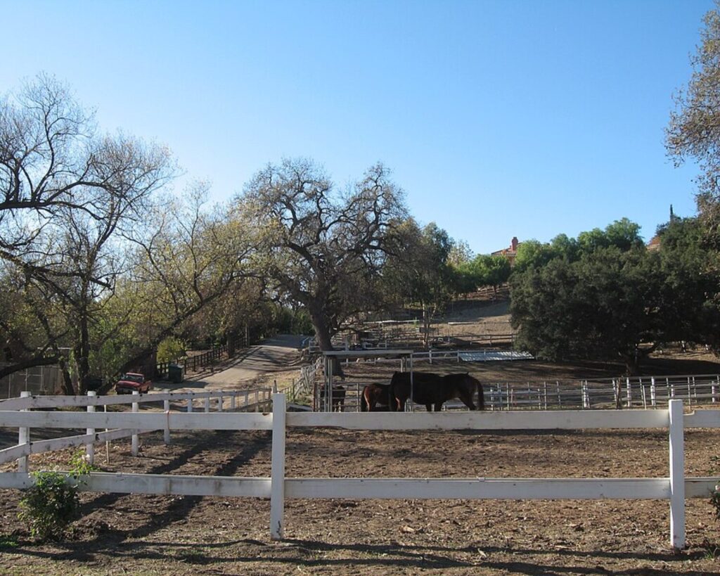 Rural landscape in Old Agoura, California, with white fences, grazing horses, dirt paths, and large oak trees under a clear blue sky.