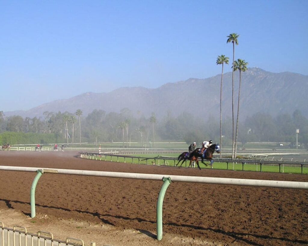 Horses racing on Santa Anita track with palm trees and mountains in the background under a hazy sky.