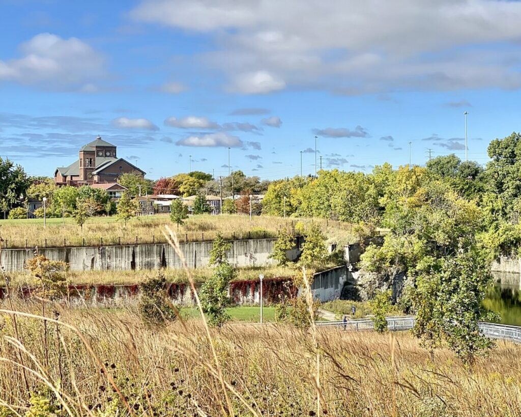 Scenic view of Palmisano Nature Park in the Bridgeport neighborhood of Chicago, Illinois, featuring tall prairie grasses, trees, walking paths, and a small pond beneath a partly cloudy blue sky, with buildings visible in the distance.