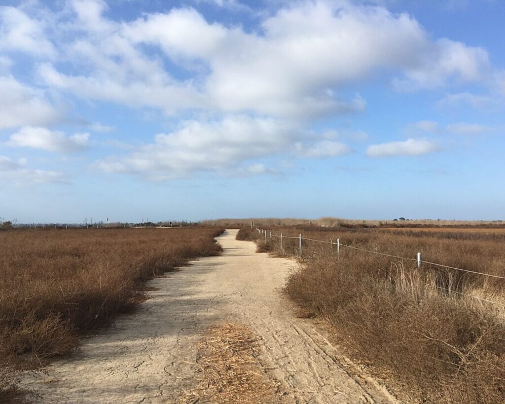 Dirt trail through Newport Beach Fairview Park with dry grass fields and a partly cloudy sky.
