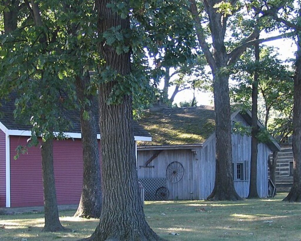 Weathered gray wooden shed behind tall trees in a grassy yard, with a wagon wheel mounted on the wall.