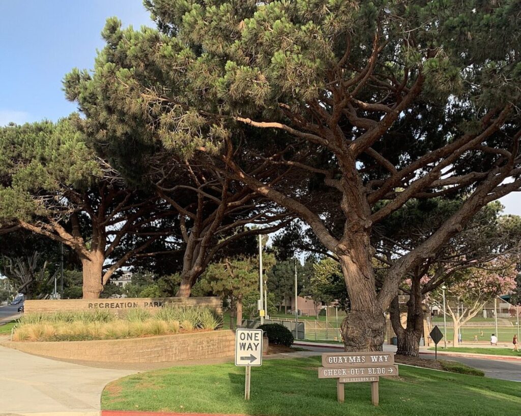 Large pine trees shading Recreation Park in El Segundo, California, with landscaped walkways, grassy areas, and park signage visible near the entrance.