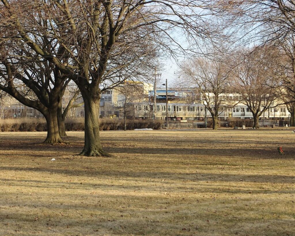 Park scene with bare trees and a train passing on tracks in the background; clear winter day.