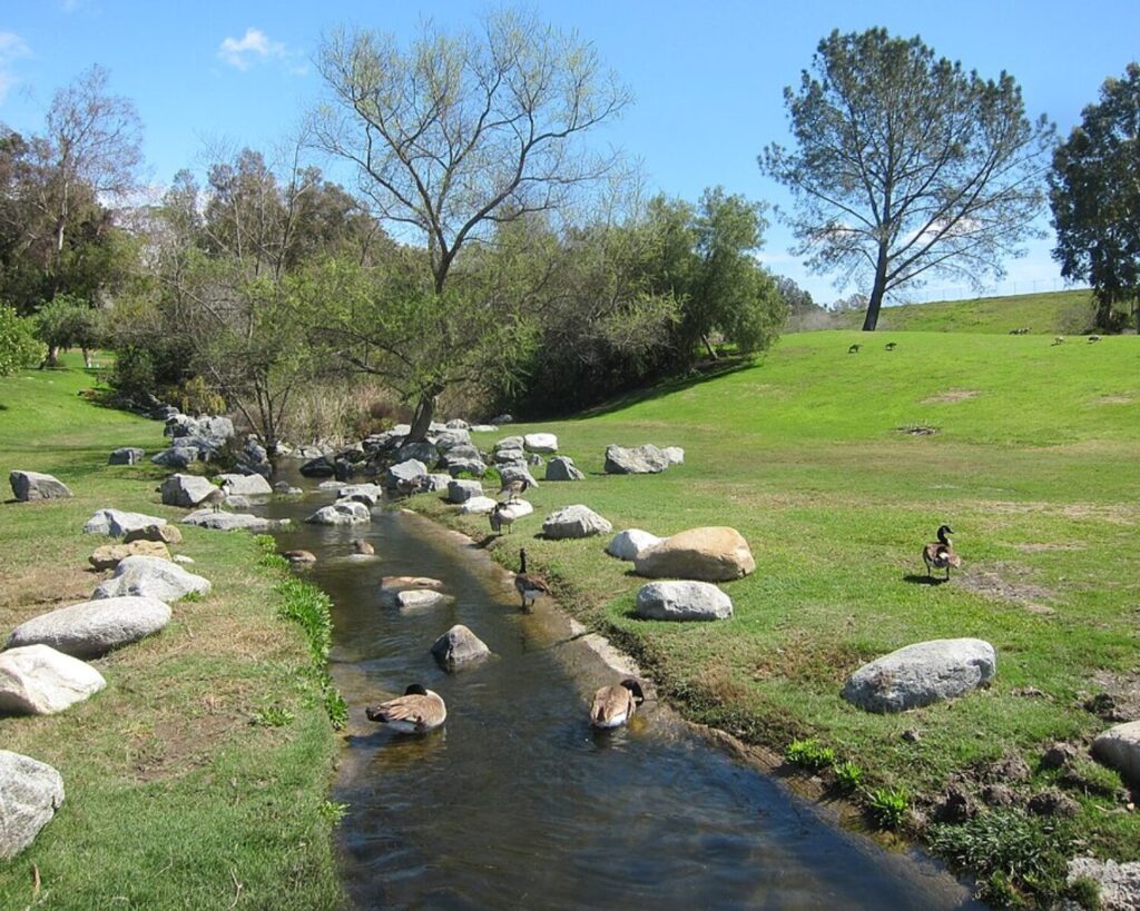 Sulphur Creek flowing through Laguna Niguel Regional Park with ducks, rocks, and grassy banks under a clear blue sky.