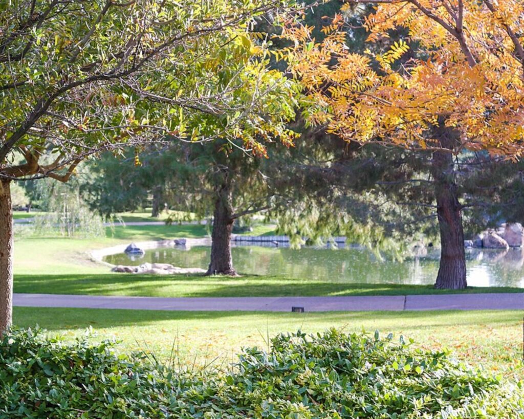 Peaceful Japanese Friendship Garden with a pond, walking path, and trees showing green and autumn foliage.