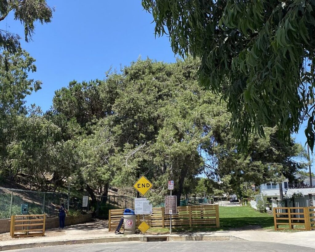 Entrance area to Sand Dune Park in Manhattan Beach, California, featuring trees, wooden fencing, walking paths, and park signage under a clear blue sky.