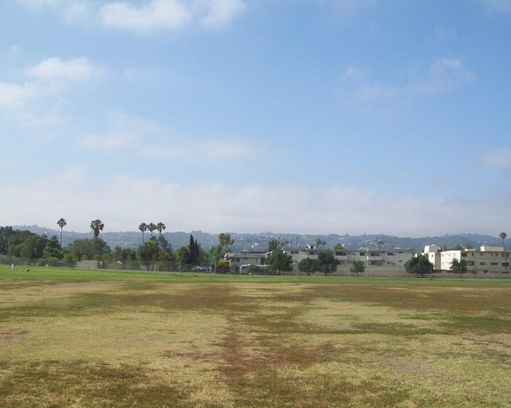 Wide view of a grassy field with a distant row of low-rise buildings and tall palm trees under a blue sky.