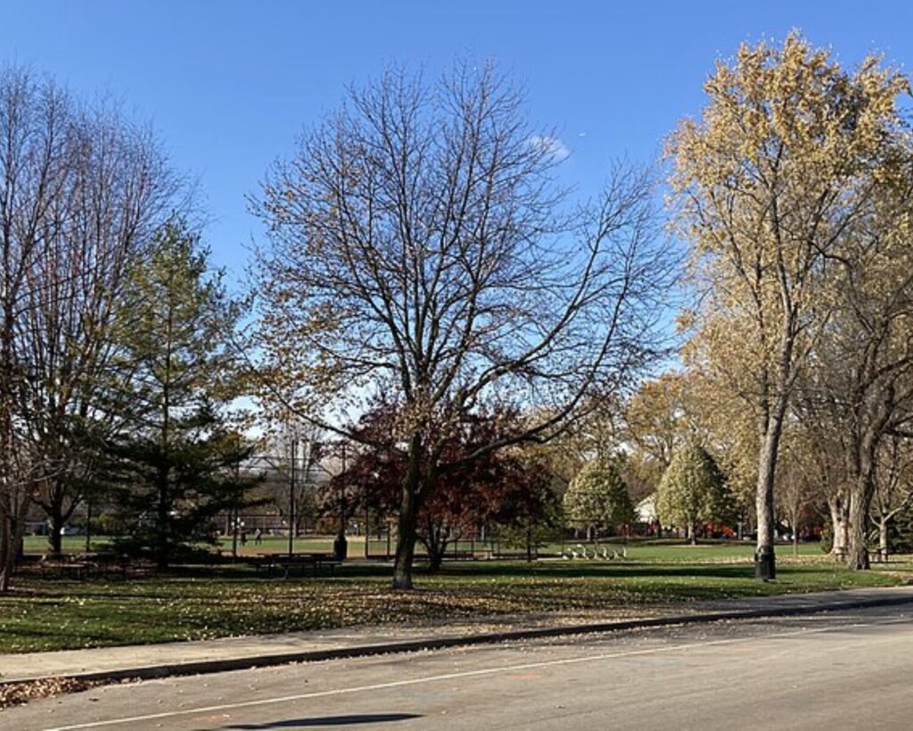 Park scene with mostly bare trees and a few evergreens, green grass, and a clear blue sky; a sidewalk and benches visible along the edge of the park.