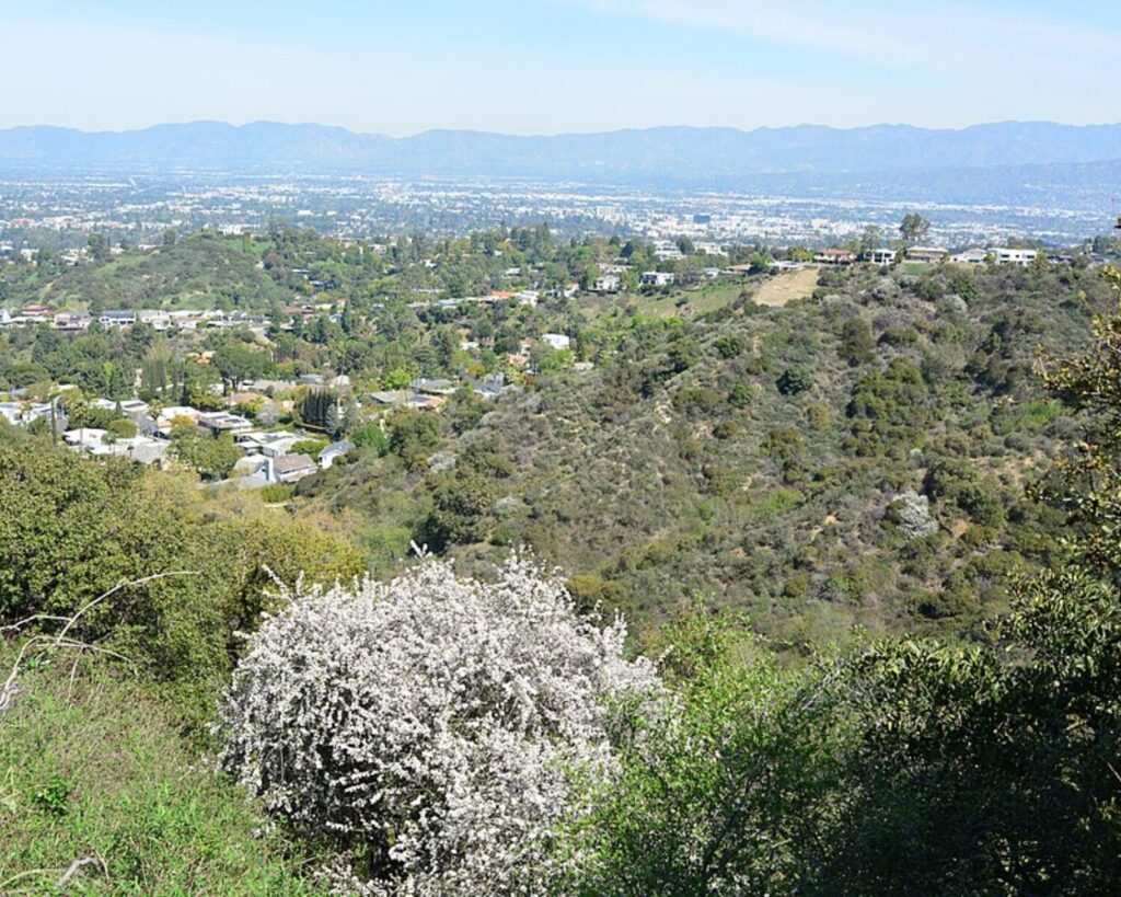 View from Fryman Canyon overlook with green hills, Los Angeles cityscape, and distant mountains.