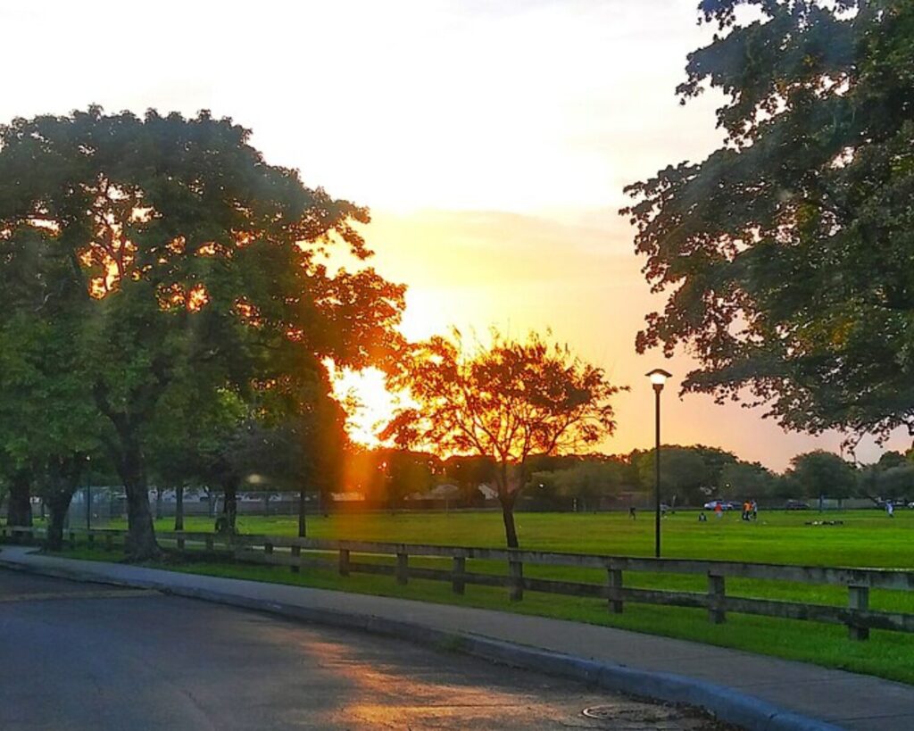 Sunset over a park with green grass, large trees, a wooden fence, and a lamp post; people relaxing in the distance beyond the fence.