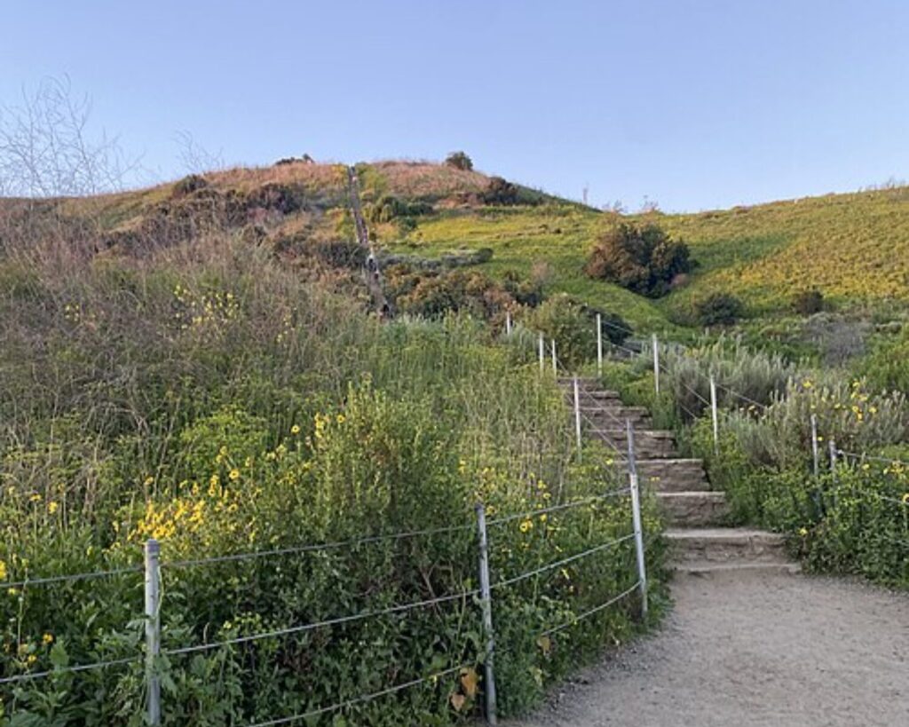 Baldwin Hills Scenic Overlook trail with dirt steps, green hillside, wildflowers, and clear blue sky.