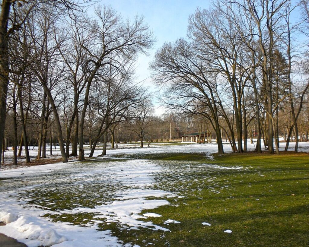 Snow-dusted park with bare trees and a small pavilion in the distance under a clear blue sky.