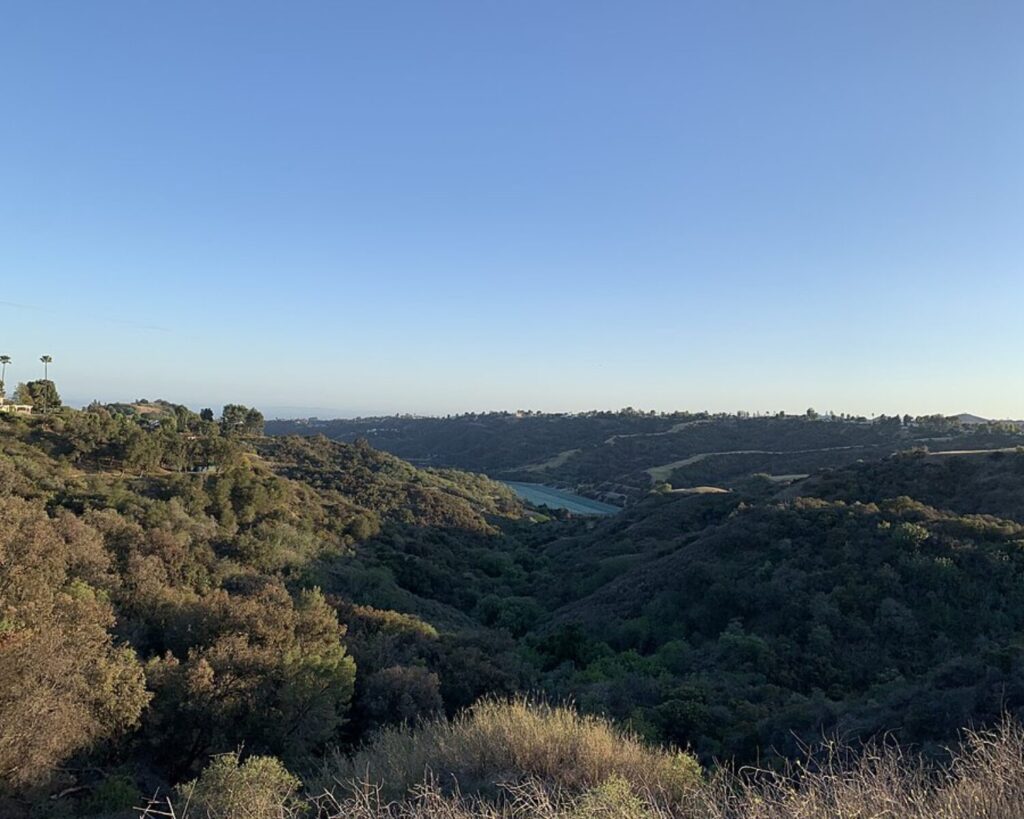 Wide hillside landscape with green scrub and distant coastline under a clear blue sky