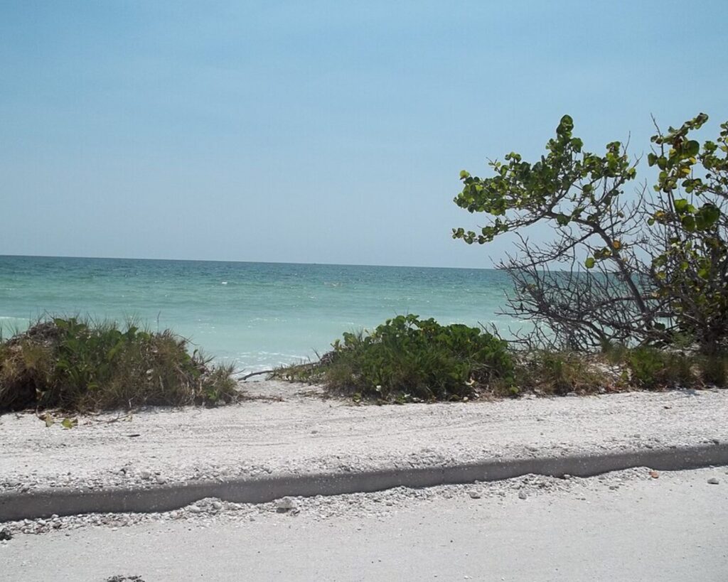 Turquoise sea meets pale sandy beach under a clear blue sky, with green shrubs along a roadside in the foreground.