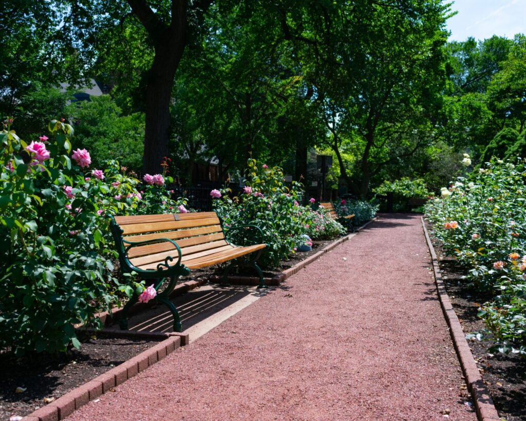 Bench and rose garden path at Merrick Rose Garden in Evanston, Illinois with lush trees.