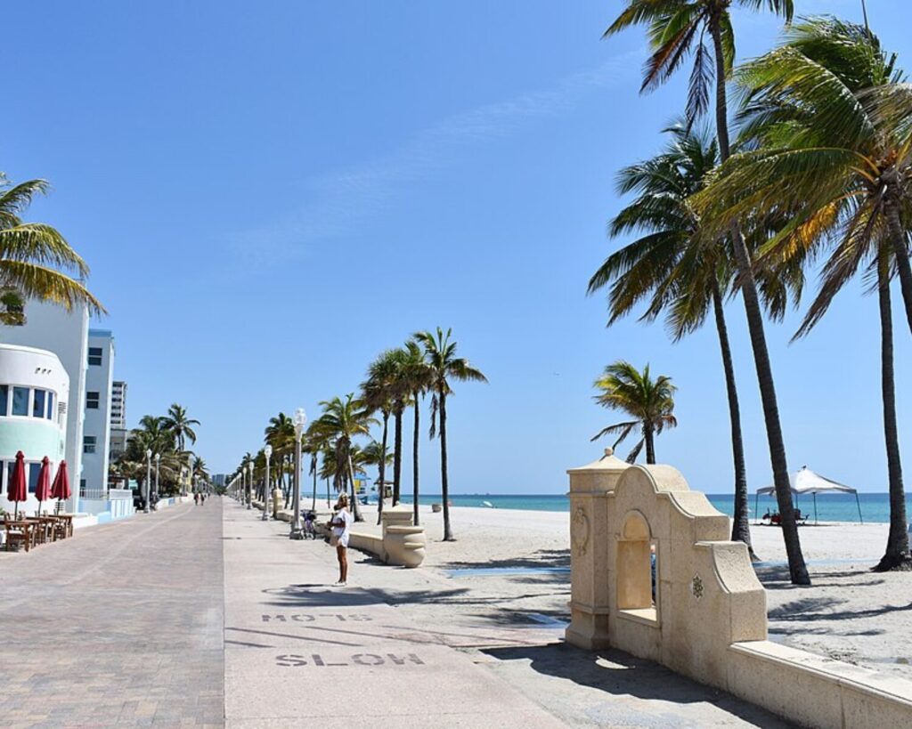 Hollywood Beach Broadwalk lined with palm trees beside a sandy beach and blue ocean.