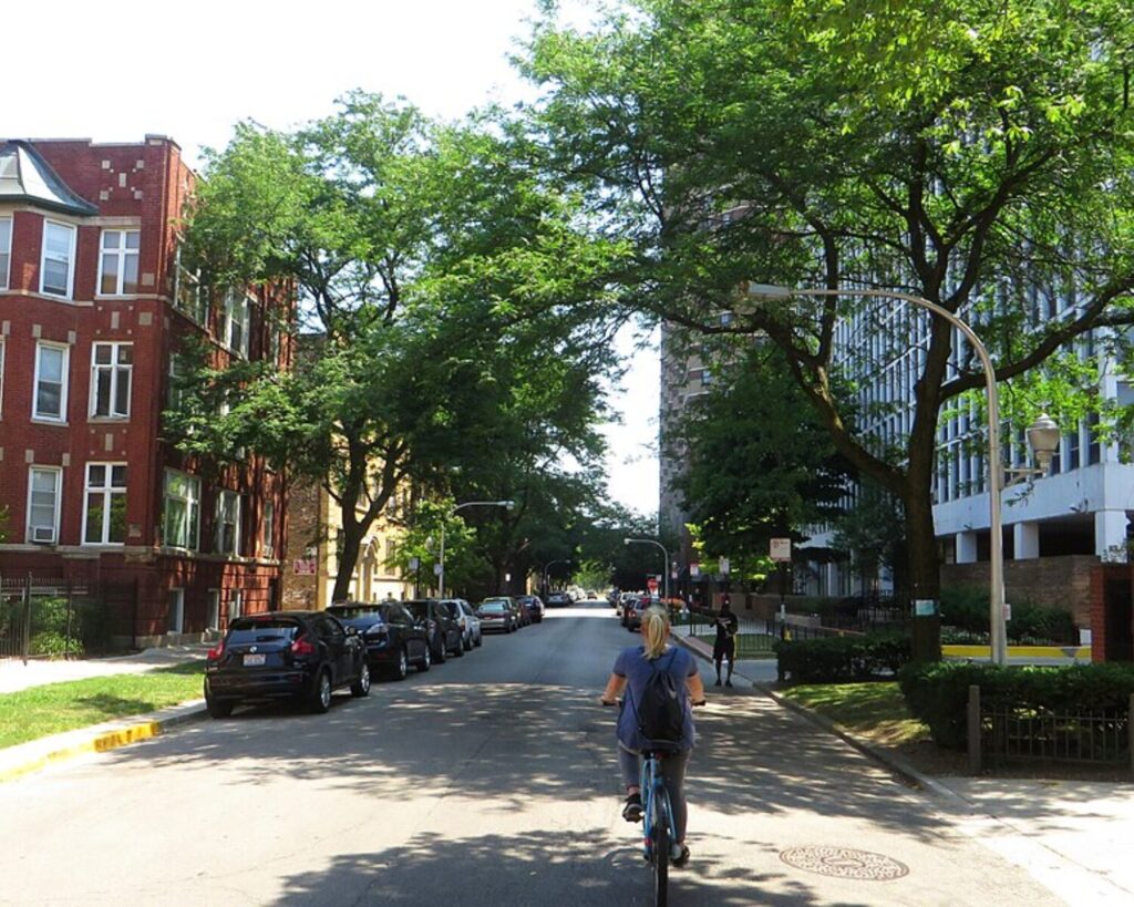 Tree-lined street in Lakeview, Chicago, with brick buildings, parked cars, and a cyclist.