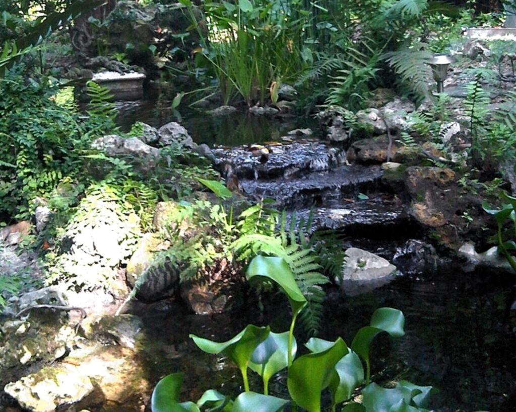 Restored Dupree Gardens waterfall with small cascading water, rocks, ferns, and lush tropical plants.