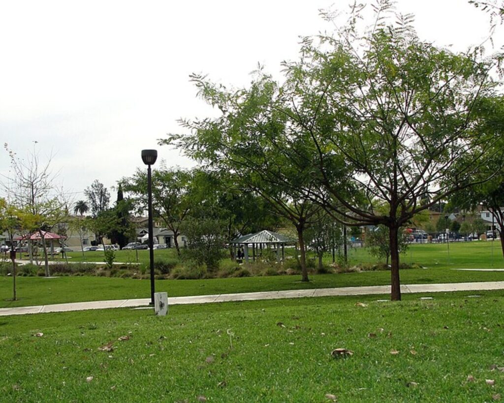 Park scene with green lawn, trees, a gazebo in the distance, and a sidewalk with a lamppost.