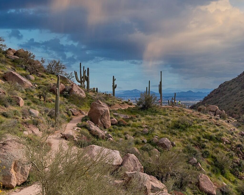 Desert hiking trail winding through rocky hills with tall cacti and distant mountains under a cloudy sky.