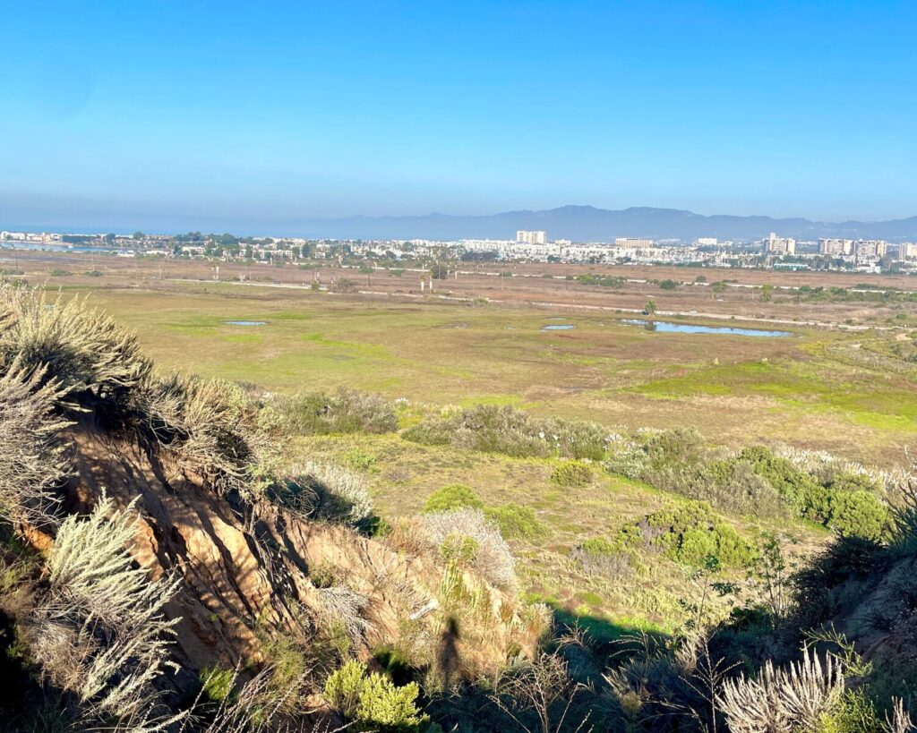 Westchester Bluffs view with open wetlands, coastal cityscape, distant mountains, and clear blue sky.