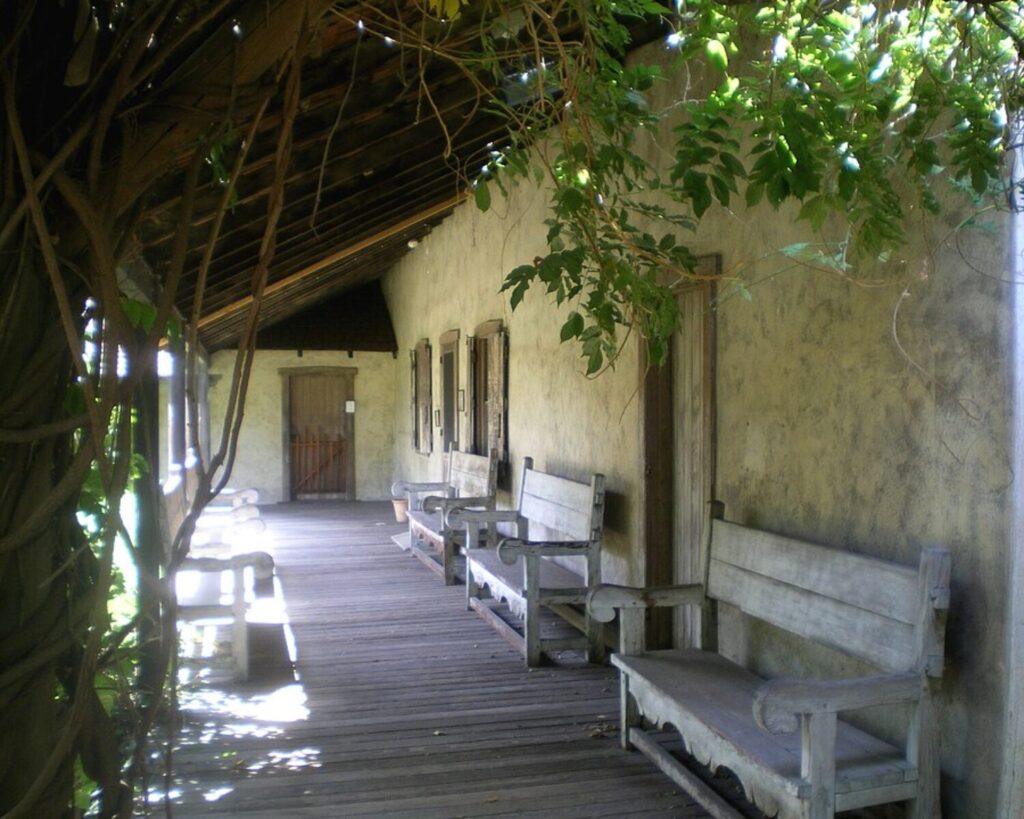 Rustic porch with weathered wooden benches along a plaster wall, shaded by overhanging vines and trees.