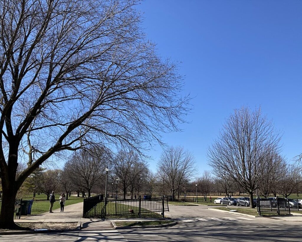 Winnemac Park east entrance in Chicago with bare trees, paved paths, gates, and clear blue sky.
