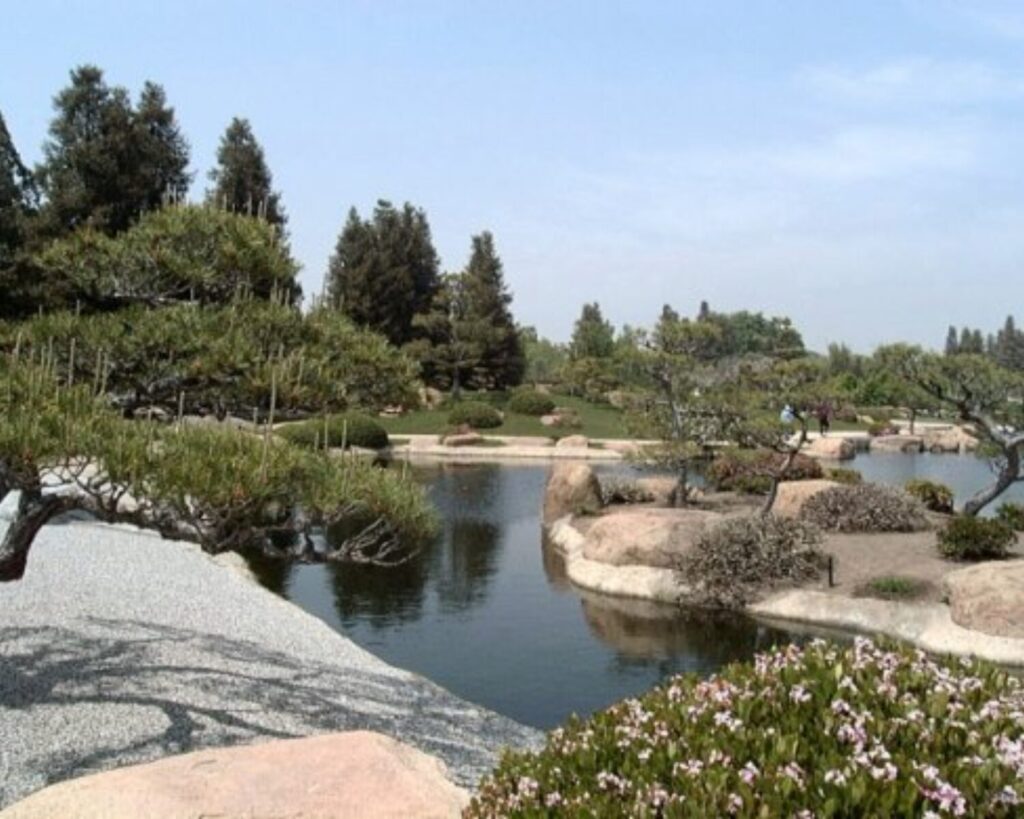 Serene Japanese-style garden with a pond, rocks, and trimmed shrubs; two visitors stroll along a path in the distance.