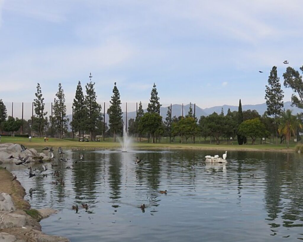 Alhambra park lake with fountain, ducks, rocky shoreline, trees, and mountains in the background.