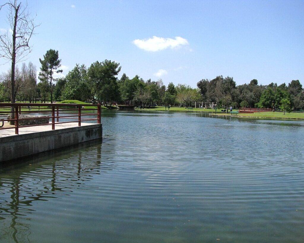 Clark Park pond with calm water, trees, grassy areas, railing, and a clear blue sky.