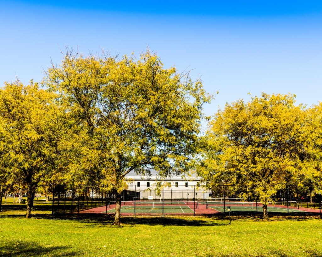 Owens Park tennis courts surrounded by mature trees and green lawns in Calumet Heights, Chicago.