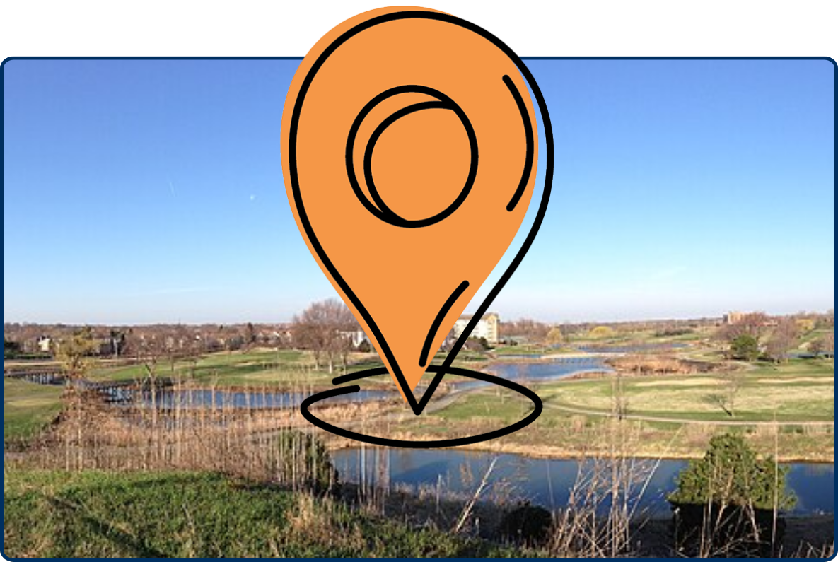 Panoramic view of grassy wetlands and ponds in Hoffman Estates, with distant buildings beneath a clear blue sky.