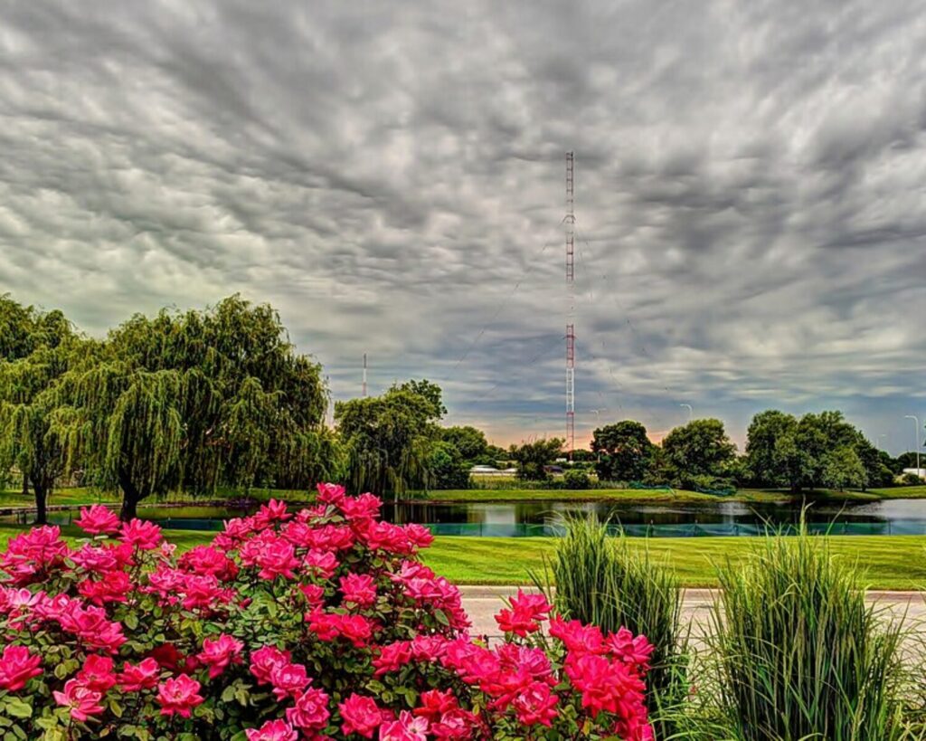 Bright pink flowers beside a landscaped pond in Itasca, with trees, a radio tower, and dramatic clouds overhead.