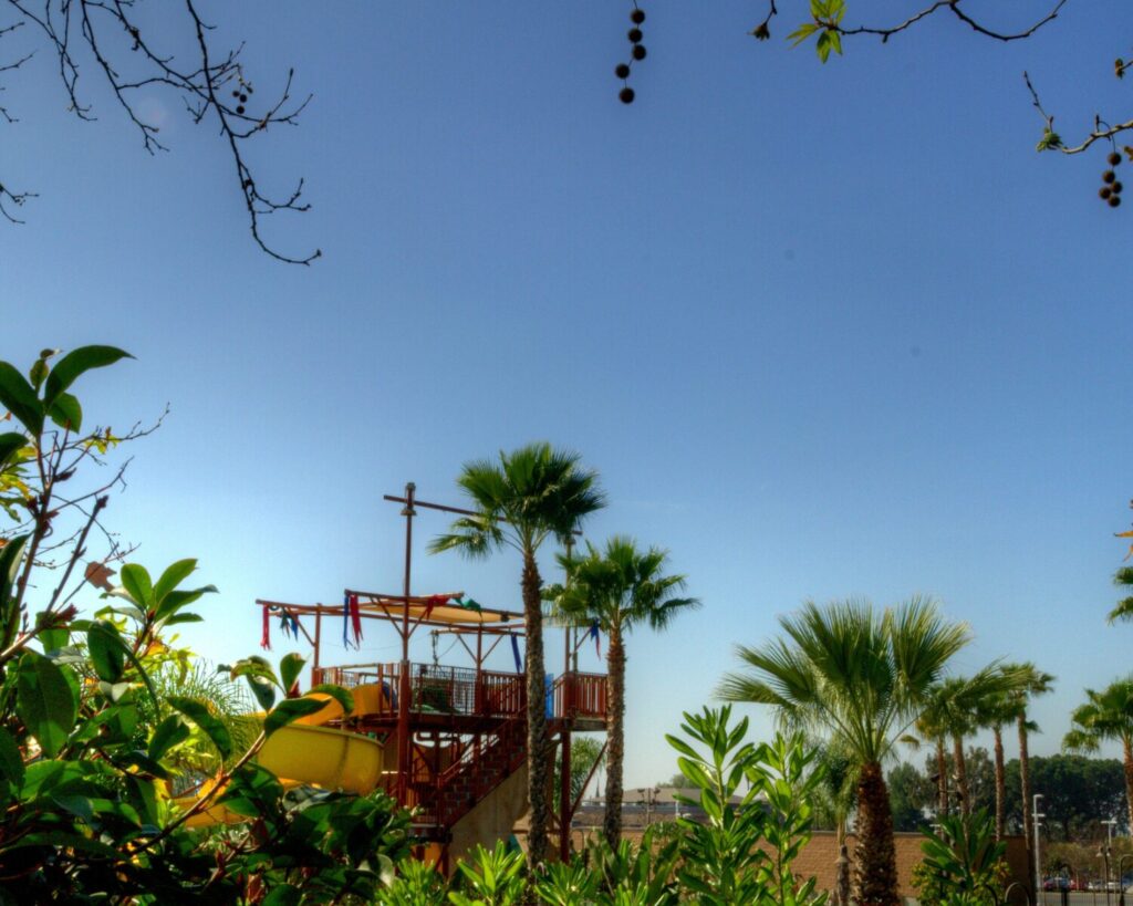 Water play area with slides, palm trees, green plants, and clear blue sky.