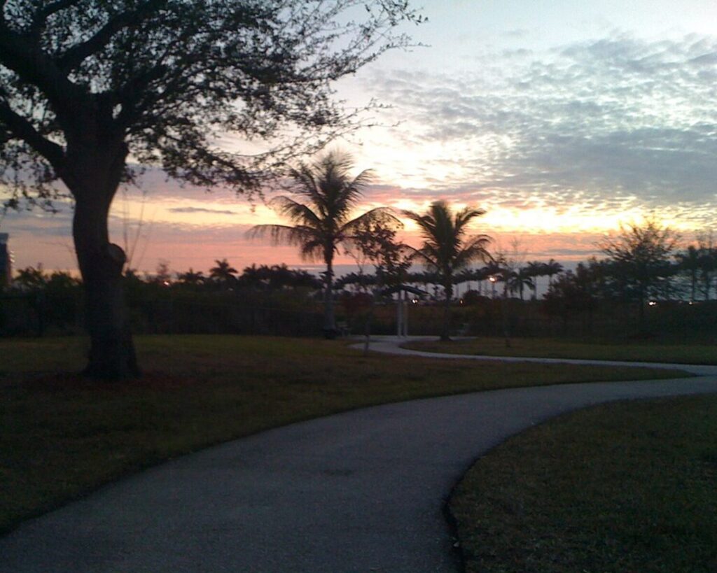 Tamarac park at sunset with palm trees, winding path, grassy lawn, and colorful cloudy sky.