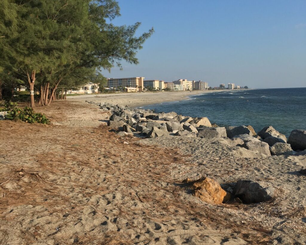 Sandy beach with a line of trees on the left, calm blue water, and beige apartment buildings in the distance.