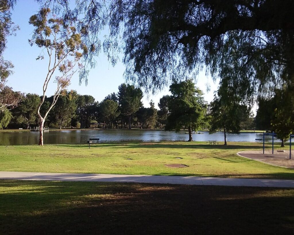 Lake at Carbon Canyon Regional Park surrounded by grassy lawns, walking paths, and mature trees.