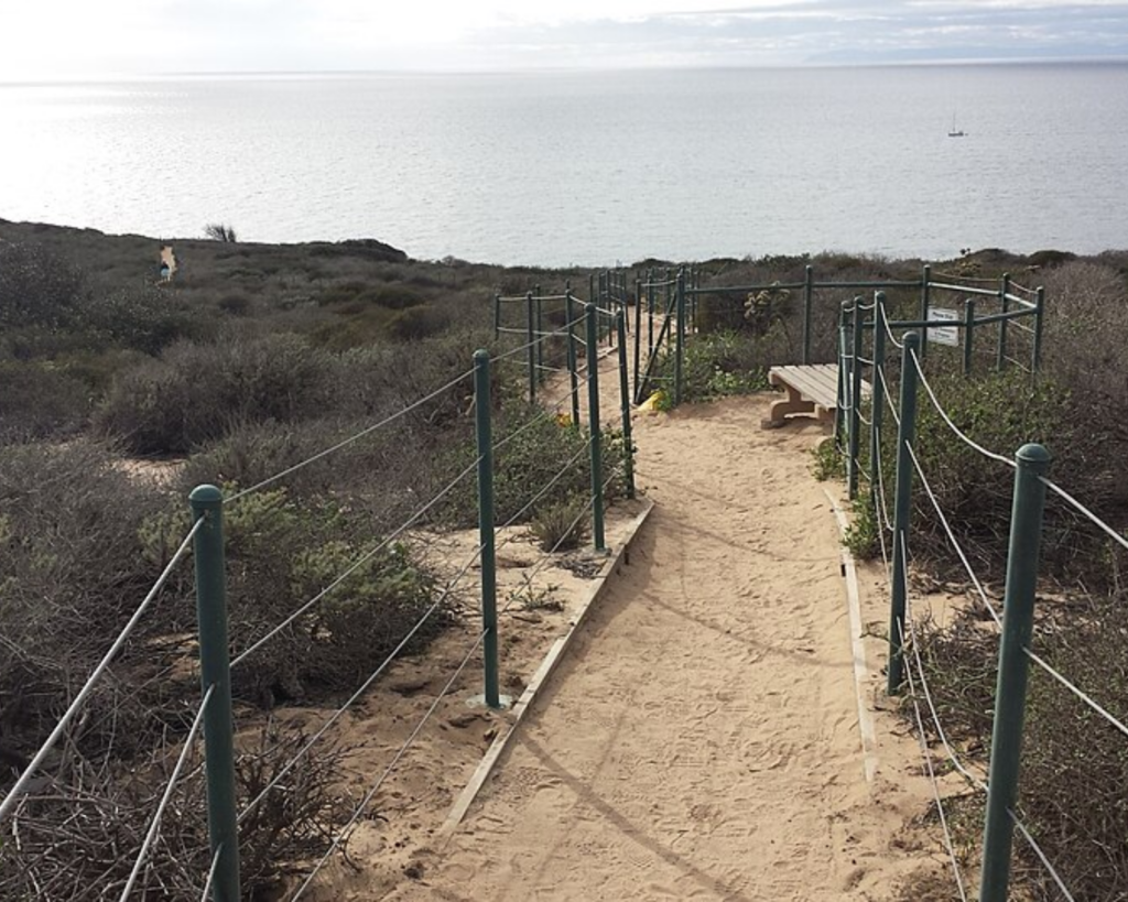 Sandy walking trail through coastal scrub at Strand Conservation Park, overlooking the Pacific Ocean.
