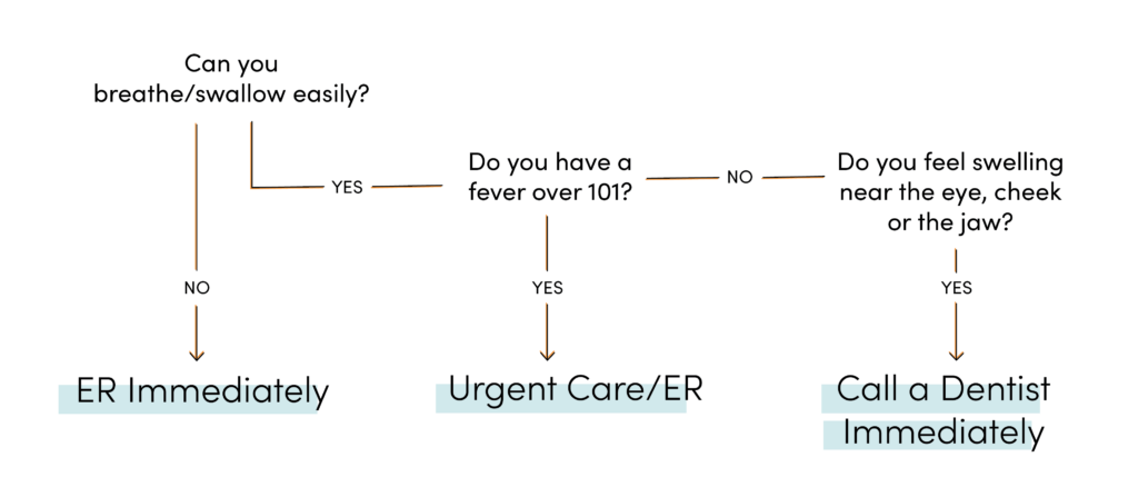 Flowchart for tooth infection symptoms: when to go to the ER or call a dentist immediately